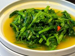-惠丰堂饭庄·烤鸭·京味菜(万泉庄 苏州桥店)