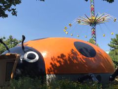 -朝阳公园游乐园