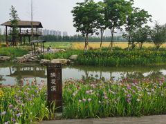 -长田漾湿地公园