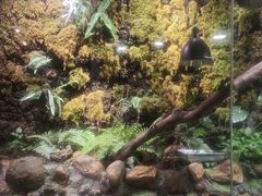 -正佳雨林生态植物园