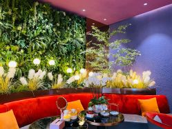 -花隐·美芙炫海菲秀皮肤管理中心