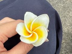 -和记菜馆