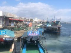 -蓝湾碧波·老字号·疍家非遗海上餐厅