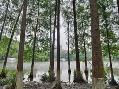 -重庆彩云湖湿地公园