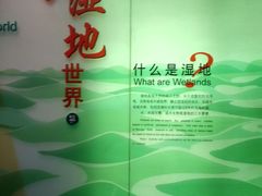 -中国湿地博物馆