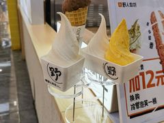 -野人先生现做冰淇淋(西安赛格店)