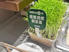 -海底捞火锅(河东万达广场店)