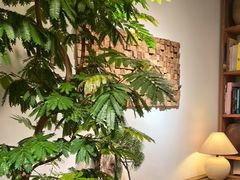 -自由生长植物工作室(深港花卉中心店)