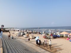 -日照海滨国家森林公园