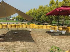 -紫颐香薰山谷景区