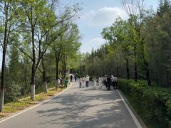-青藏高原野生动物园