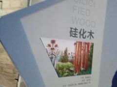 -东湖欢乐水世界