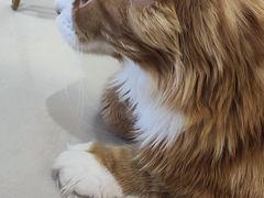 -平行世界·猫咖(首经贸店)