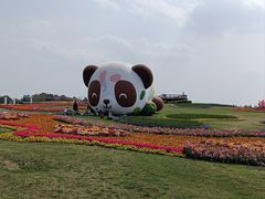 -空港花田景区