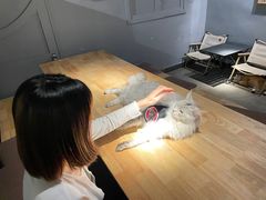 -天井·丑面包搭咖啡