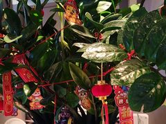 -伯友茶记(中华广场店)