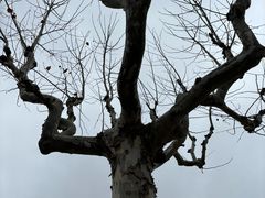 -同济大学(嘉定校区)