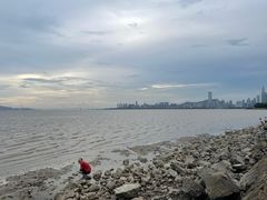 -深圳湾公园(南山区)