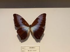 -台州博物馆