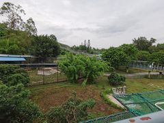 -深圳野生动物园