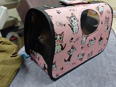 -动物缘宠物医院·骨科·猫科(西二环店)