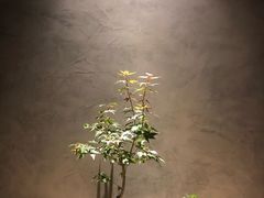店内布置-旨匠Omakase(华侨新村店)