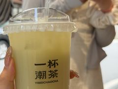-一杯潮茶·专注潮汕茶饮(朝阳庄店)