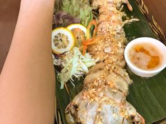 超级大的皮皮虾-茉莉.Red Crab