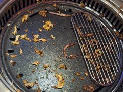 -杨记齐齐哈尔烤肉(总店)