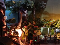 -恐龙探索乐园(磁器口店)