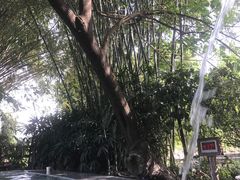 -天赐温泉