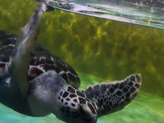 -常州海昌海洋探索馆