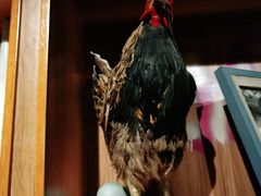 -俭寨大盘鸡·缸子肉·小公鸡·新疆菜(云通店)