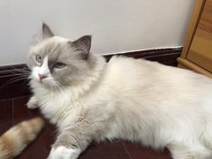 -一间摄影工作室(天安云谷店)