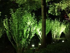 -上海外滩茂悦大酒店