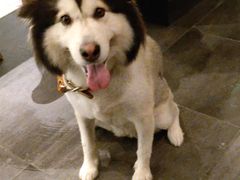 -星巴克(苏州泰华店)