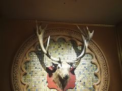 -游牧传奇新疆特色歌舞餐厅(红山新世纪购物广场店)