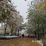东环公园雪景和黄叶