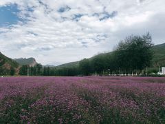 -百里山水画廊乌龙峡谷