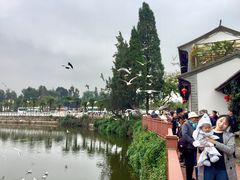 -云南民族村