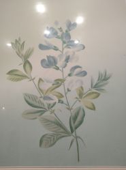 -颜蕾医美·黄金微针·水光·玻尿酸·超声炮·抗衰中心
