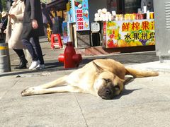 -大厨的餐厅(曾厝垵总店)