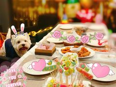 -百好乐宠物友好餐厅(朝外大街店)