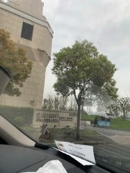 -上海浦滨儿童医院
