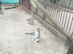 -昆明动物园