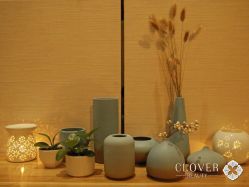 点击看大图 -Clover Beauty四葉美睫