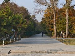 -北陵公园
