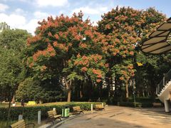 -苏州河梦清园环保主题公园