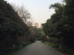 -重庆彩云湖湿地公园