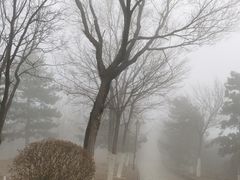 -北宫国家森林公园